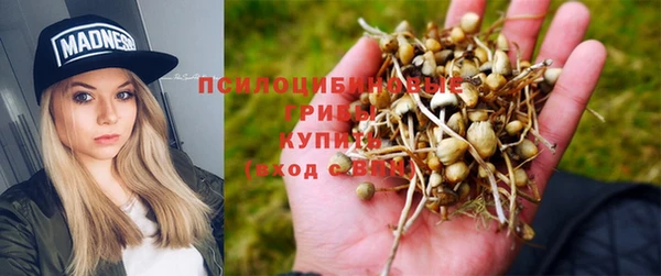 mdpv Корсаков