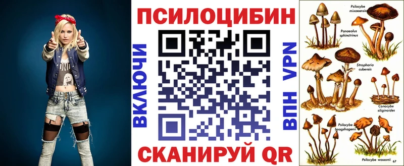 Галлюциногенные грибы прущие грибы  Купить  Буй 
