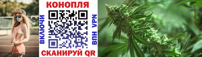 Конопля конопля  Купить закладки  Буй 